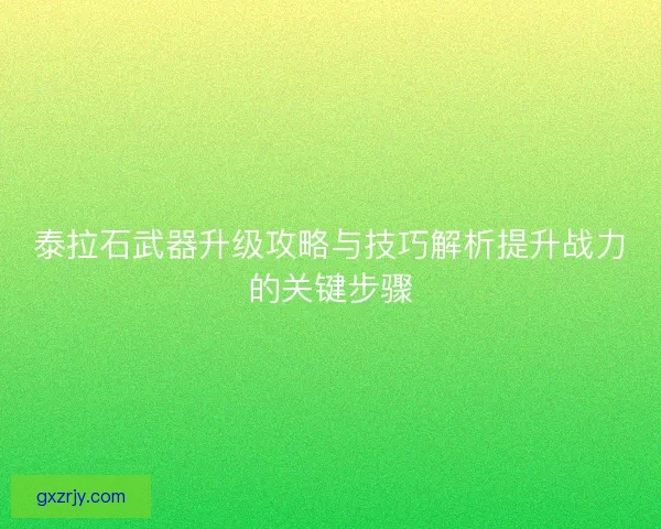泰拉石武器升级攻略与技巧解析提升战力的关键步骤